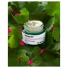 Cicapair Tiger Grass Color Correcting Treatment