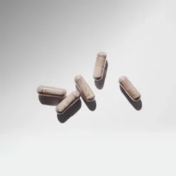 Collagen Intravital Plus Nutriional Supplement