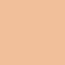 Concealer 12