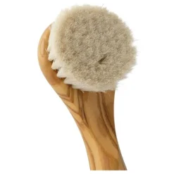 Face Brush