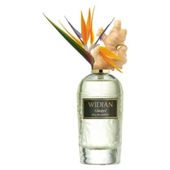 Ginger EdP Nat. Spray