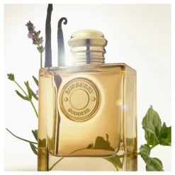 Goddess E.d.P. Nat. Spray Intense