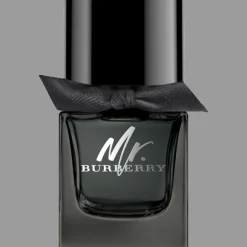 Mr. Burberry Eau de Parfum