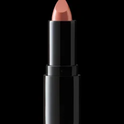Perfect Moisture Lipstick 4