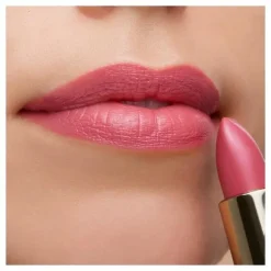 THE LIPSTICK