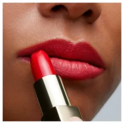 THE LIPSTICK