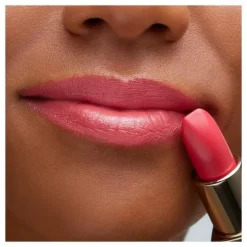 THE LIPSTICK
