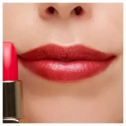 THE LIPSTICK