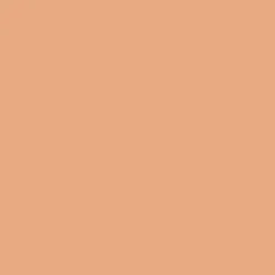 Tinted Oleo-Serum 30