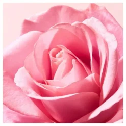 Very Rose Lippenbalsam