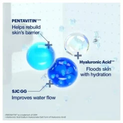 Vital Hydra Solution Hydro Plump Overnight Mask