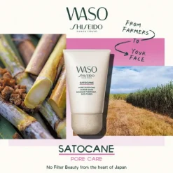 Waso Satocane Pore Purifying Scrub Mask